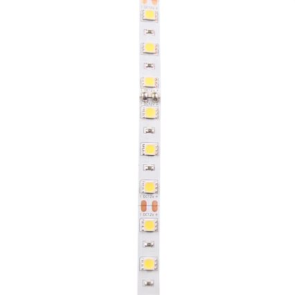 Tira LED 5m LED/10W/12V IP20 branco