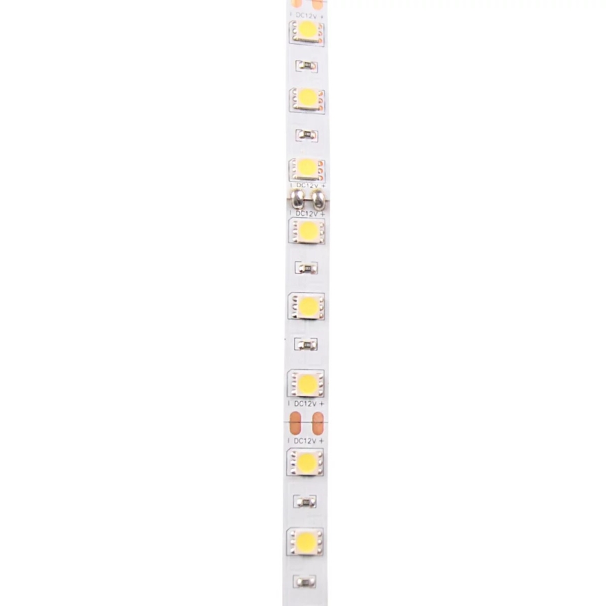 Tira LED 5m LED/10W/12V IP20 branco