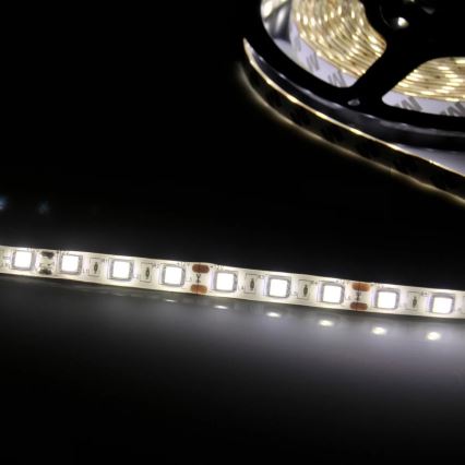 Tira LED 5m LED/10W/12V IP20 branco