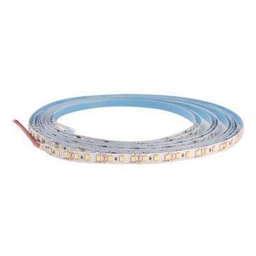 Tira LED DAISY 5m branco frio