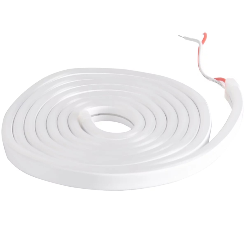 Tira LED NEON 2 m LED/17W/12V 4,000K IP65