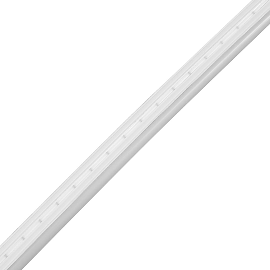 Tira LED para casa de banho NEON EKO-FLEX LED/250W/12V 4000K IP65 25m branco