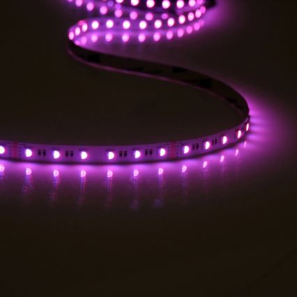 Tira LED RGBW com regulação 3m LED/22W/24/230V + controlo remoto