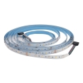 Tira LED RGBW de casa de banho DAISY 5m branco diurno IP65