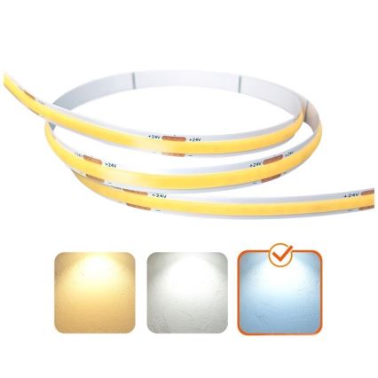 Tira LED TRAMO LED/500W/24V 50 m 6500K
