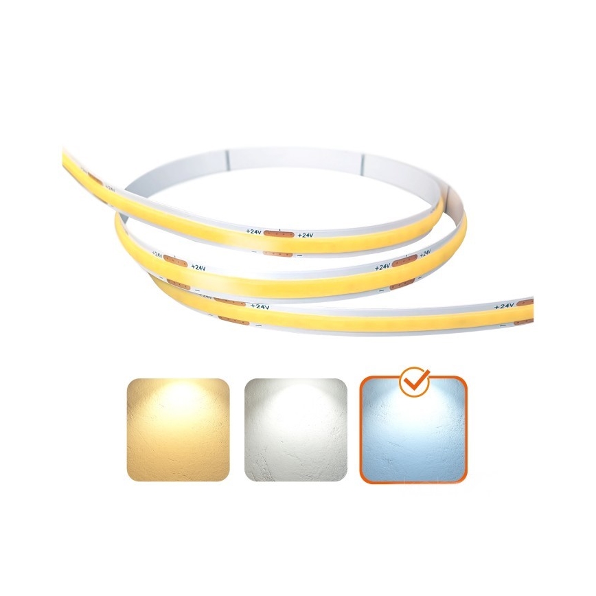 Tira LED TRAMO LED/500W/24V 50 m 6500K