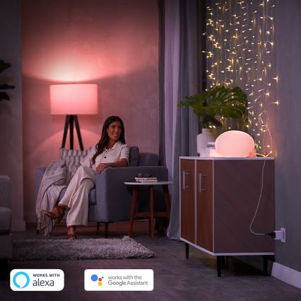 Tomada inteligente Hue Philips Inteligente ficha EU SCHUKO