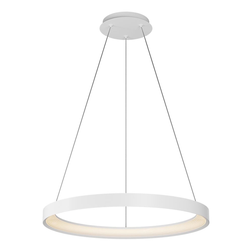 Top Light - Candeeiro suspenso LED com regulação ORBIT LED/40W/230V 3000-6500K diâmetro 50 cm branco + comando