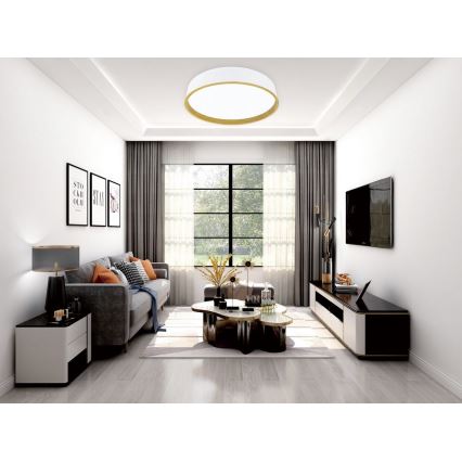 Top Light - Iluminação de teto LED com regulação DEKOR LED/51W/230V diâmetro 50 cm 3000-6500K + controlo remoto
