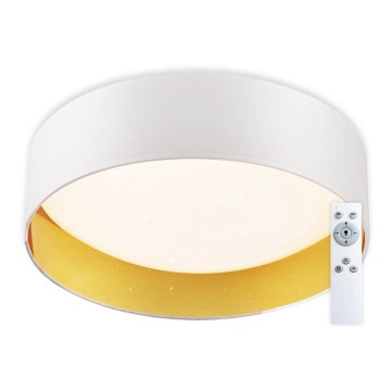 Top Light - Iluminação de teto LED com regulação IVONA 40B +CR LED/24W/230V + controlo remoto branco