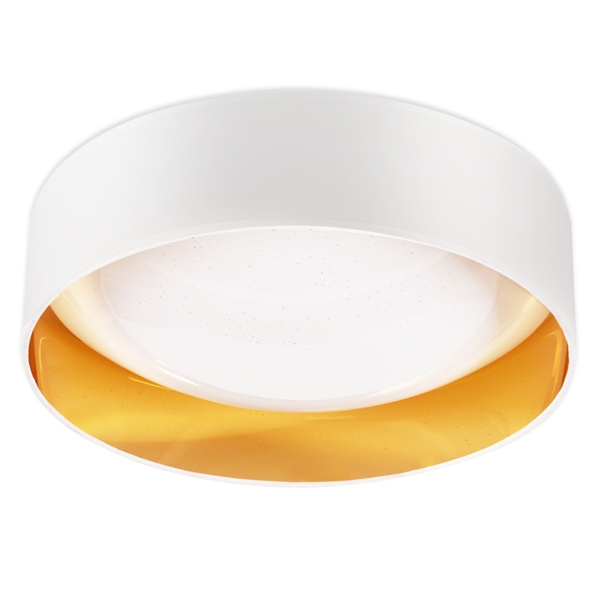 Top Light - Iluminação de teto LED com regulação IVONA 40B +CR LED/24W/230V + controlo remoto branco
