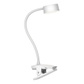 Top Light - Lâmpada de mesa LED dimmerizável com touch e clip BELLA LED/4,8W/5V 3000-6500K branca
