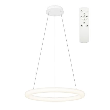 Top Light - Lustre pendente LED dimerizável em cabo RINGO LED/40W/230V 3000-6500K branco + comando remoto