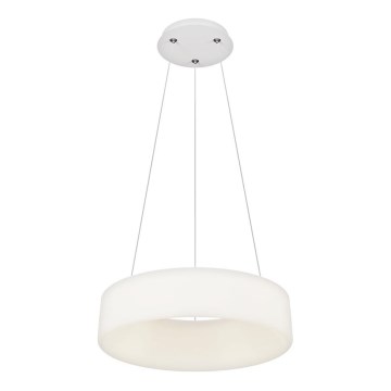 Top Light - Luminária pendente dimmable HALO LED/40W/230V 3000-6500K Ø 44 cm + Controle remoto