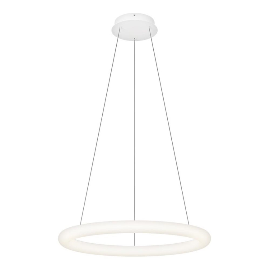 Top Light - Lustre pendente LED dimerizável em cabo RINGO LED/40W/230V 3000-6500K branco + comando remoto