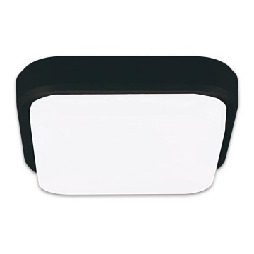 Top Light Mango H - Iluminação de teto exterior LED MANGO LED/18W/230V IP54