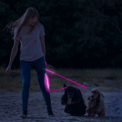 Trela de LED recarregável 120 cm 2xCR2032/5V/40 mAh rosa
