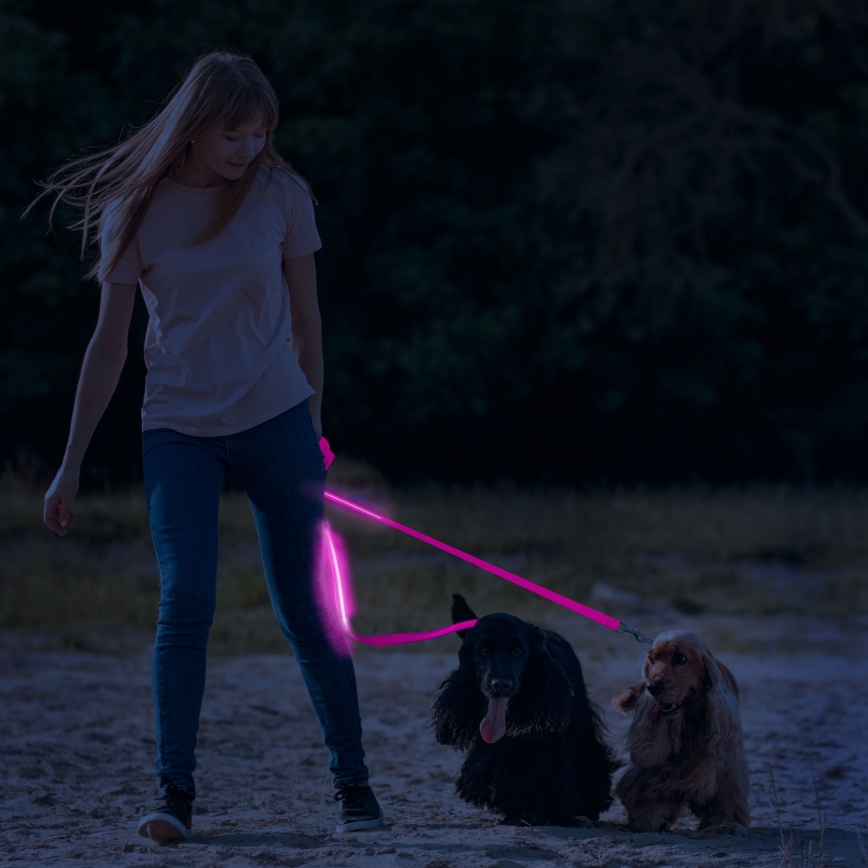 Trela de LED recarregável 120 cm 2xCR2032/5V/40 mAh rosa