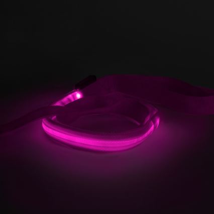 Trela de LED recarregável 120 cm 2xCR2032/5V/40 mAh rosa