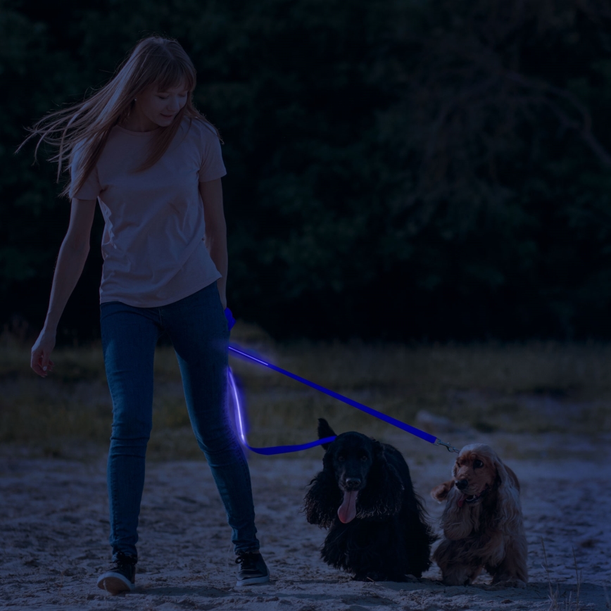 Trela LED recarregável 120 cm 2xCR2032/5V/40 mAh azul