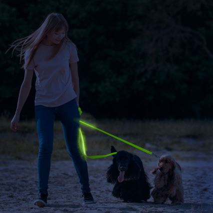 Trela LED Recarregável 120 cm 2xCR2032/5V/40 mAh verde