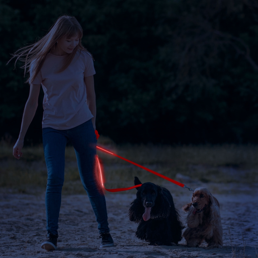 Trela LED Recarregável 120 cm 2xCR2032/5V/40 mAh vermelho