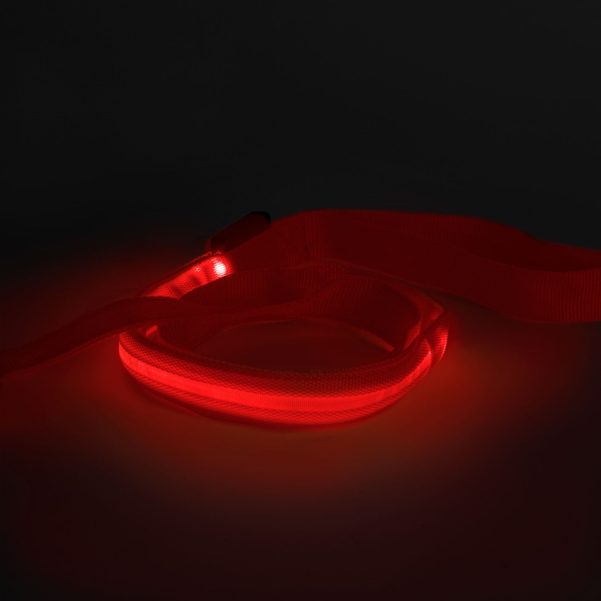 Trela LED Recarregável 120 cm 2xCR2032/5V/40 mAh vermelho