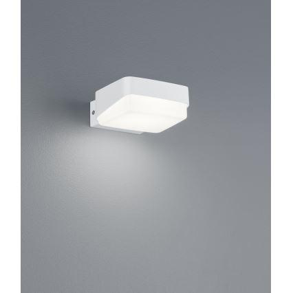 Trio - Iluminação de parede exterior LED JUBA LED/10W/230V IP65