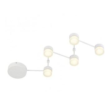 Trio - Iluminação de teto LED com regulação NASHVILLE 5xLED/3W/230V