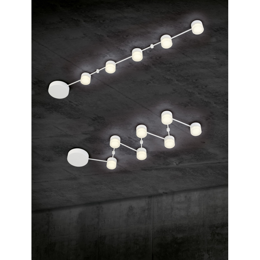 Trio - Iluminação de teto LED com regulação NASHVILLE 5xLED/3W/230V