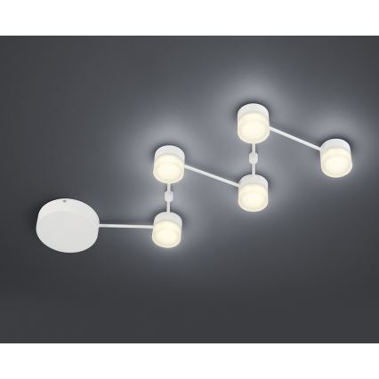 Trio - Iluminação de teto LED com regulação NASHVILLE 5xLED/3W/230V
