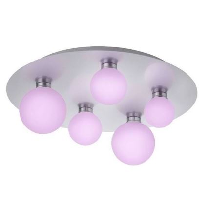 Trio - Iluminação de teto LED RGB com regulação DICAPO 5xLED/3W/230V 3000-5000K + controlo remoto