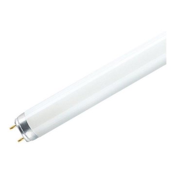 Tubo fluorescente T8 G13/36W/230V 6500K 120 cm