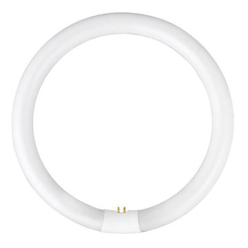 Tubo fluorescente YH G10q/28W/230V 6500K - Fulgur 03045 d. 23 cm