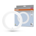 Tubo LED G10q/11W/230V 4000K - Osram