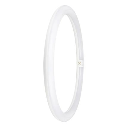 Tubo LED G10q/24W/230V 4000K - Osram