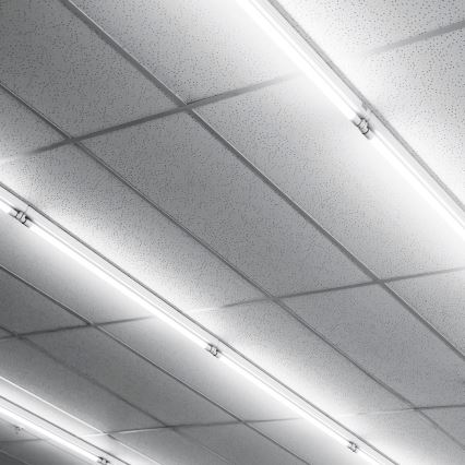 Tubo LED G13/20W/230V 4000K 150 cm
