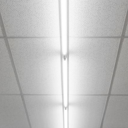 Tubo LED G13/9W/230V 4000K 60 cm