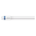Tubo LED Philips MASTER T8 G13/16W/80V 6500K 120 cm