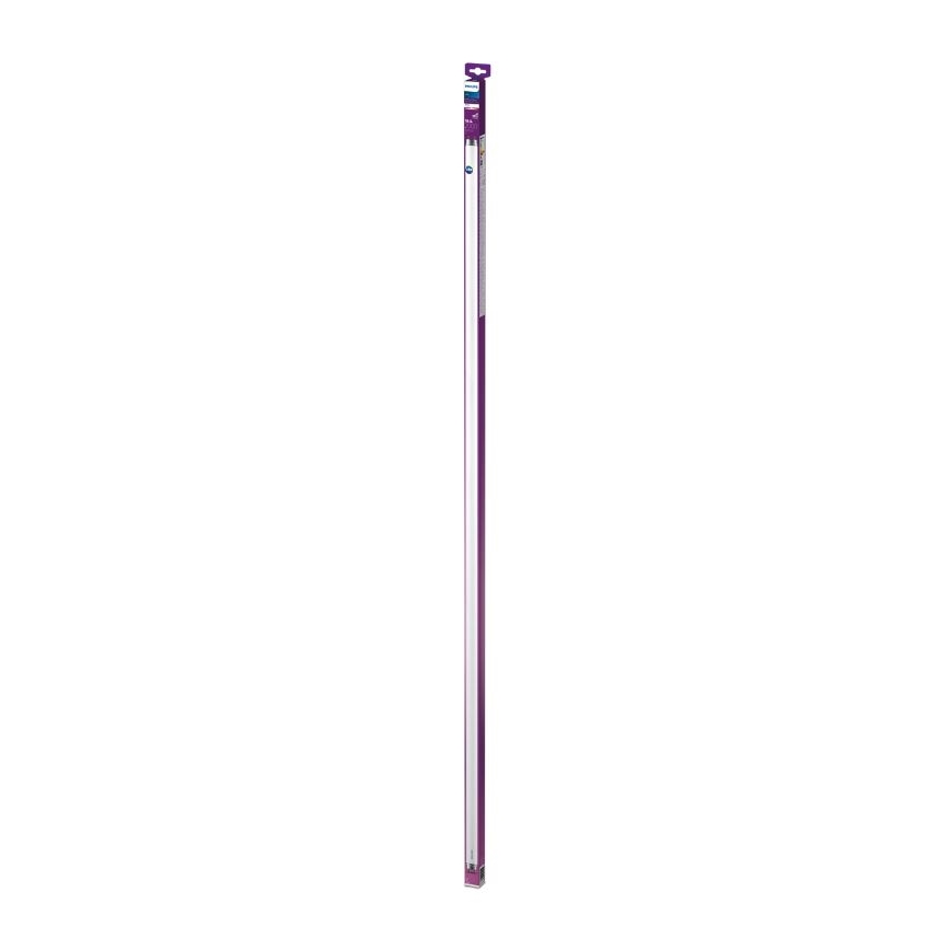 Tubo LED Philips T8 G13/19,5W/230V 3000K 150 cm