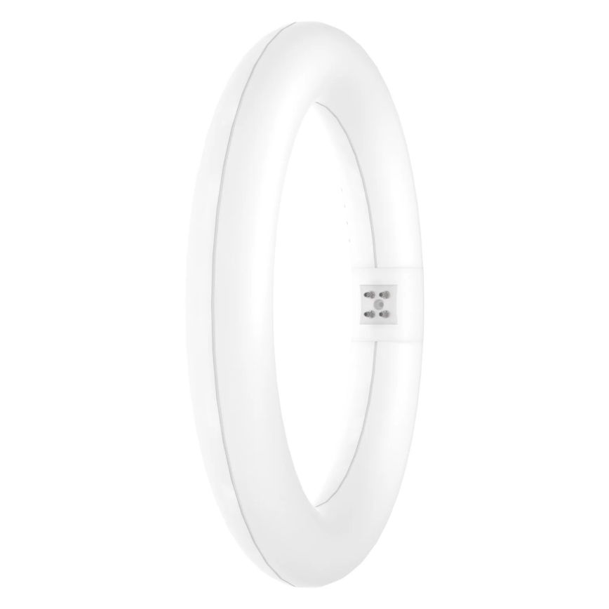 Tubo LED SUBSTITUBE T9 G10q/12W/230V 4000K diâmetro 21,2 cm - Osram