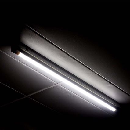 Tubo LED T5 G5/8W/230V 4000K 60 cm