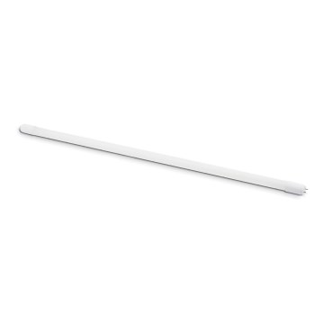 Tubo LED T8 G13/18W/230V 4000K 120 cm