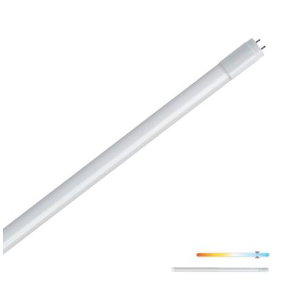 Tubo LED T8 G13/9W/230V 6500K 60 cm