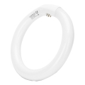 Tubo LED T9 G24q-1/22W/230V 6500K - Aigostar