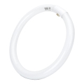 Tubo LED T9 G24q-1/32W/230V 6500K - Aigostar