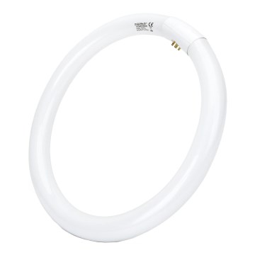 Tubo LED T9 G24q-1/32W/230V 6500K - Aigostar