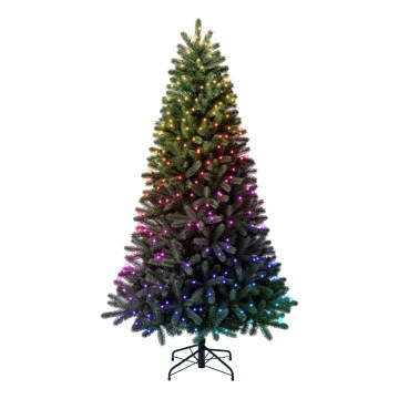 Twinkly - Árvore de Natal LED RGBW dimerizável TREE 435 LEDs 2,1 m Wi-Fi