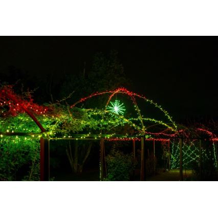 Twinkly - LED RGB Regulação exterior poinsétia SPRITZER 200xLED IP44 Wi-Fi