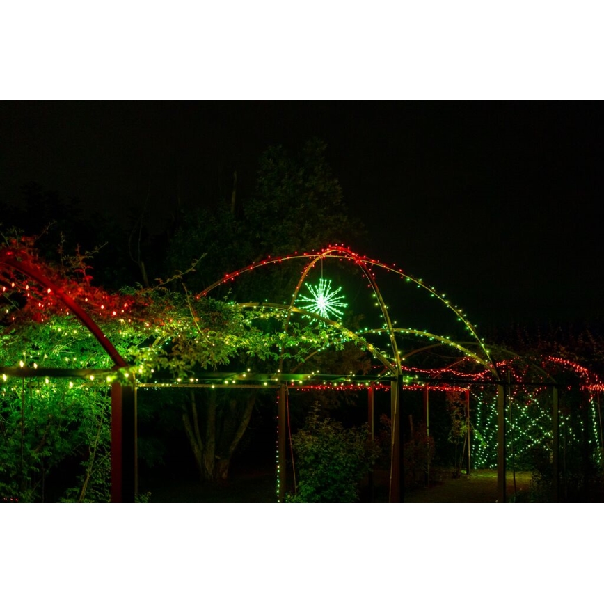 Twinkly - LED RGB Regulação exterior poinsétia SPRITZER 200xLED IP44 Wi-Fi